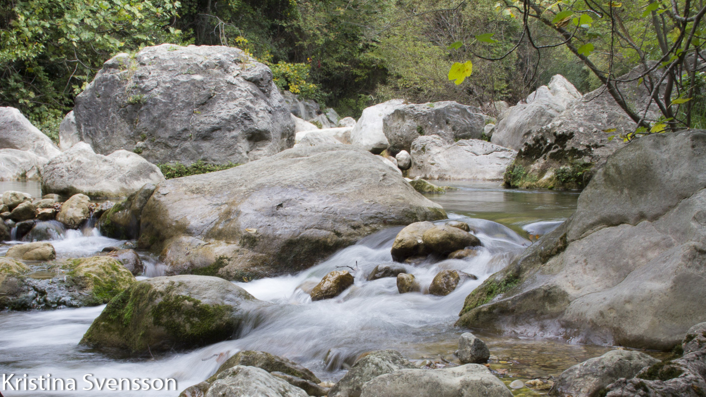 provence-i-oktober-4828