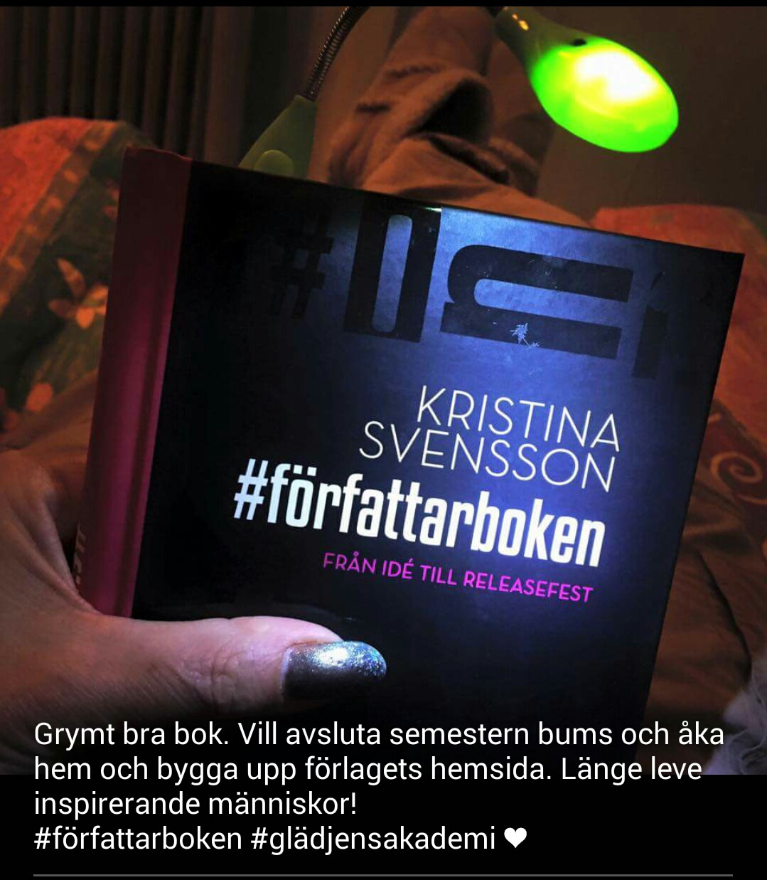 forfattarboken-gladjens-akademi