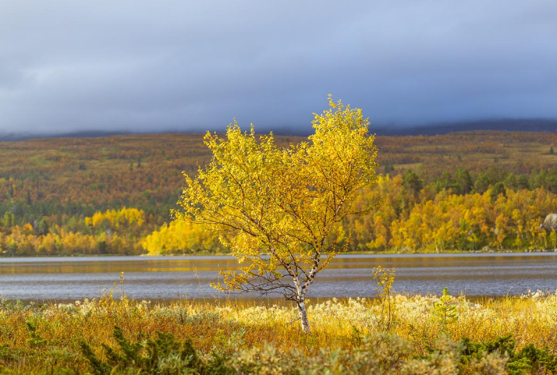 9-september-2025-tanndalssjon-4292
