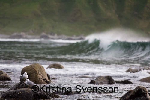 min bästa bild hittils?