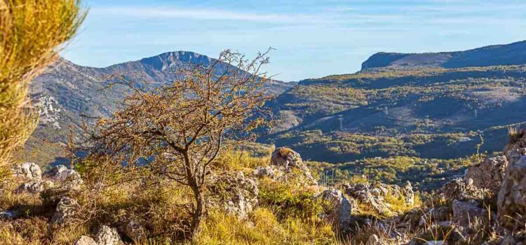 Ett år runt Antibes oktober: höstfärger i bergen